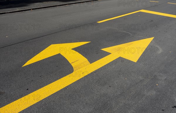 Yellow marking arrow on a road for straight ahead and left turn