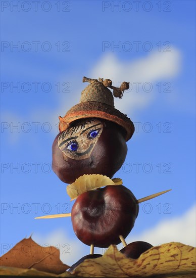 Smart chestnut figure with hat in the blue sky