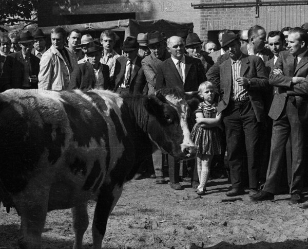 The auction of a bankrupt farm on 22. 09. 1971 in Greven in Muensterland