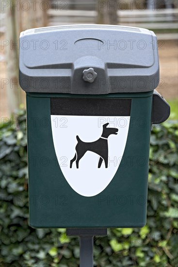 Dog toilet