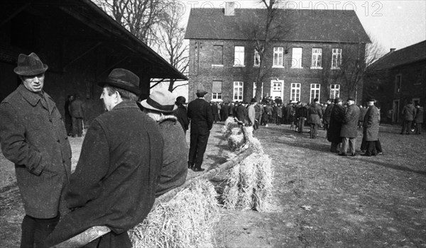 The auction of a farm on 2. 3. 1972 in the Muensterland in Ascheberg with all inventory and livestock