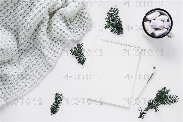 Blanket hot chocolate near conifer twigs notebook