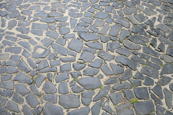 Pavement in Lviv