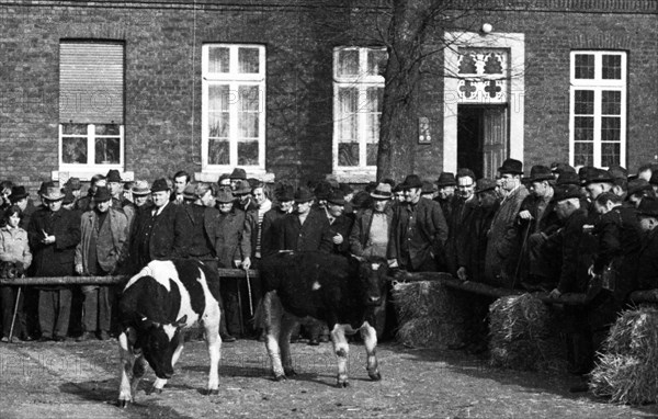 The auction of a farm on 2. 3. 1972 in the Muensterland in Ascheberg with all inventory and livestock