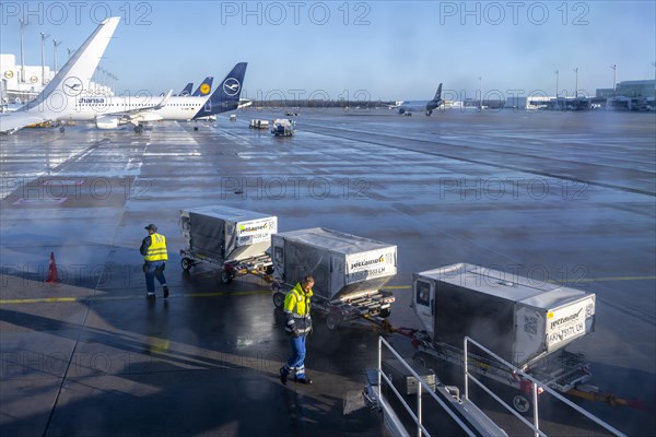 Luggage being unloaded