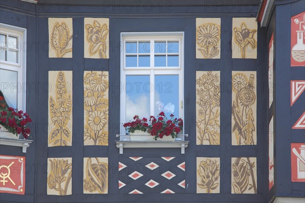 House wall of the Park Pharmacy with reflection in the window and floral mural