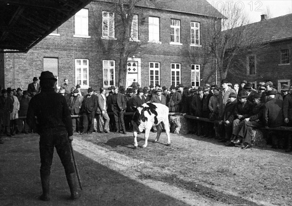 The auction of a farm on 2. 3. 1972 in the Muensterland in Ascheberg with all inventory and livestock