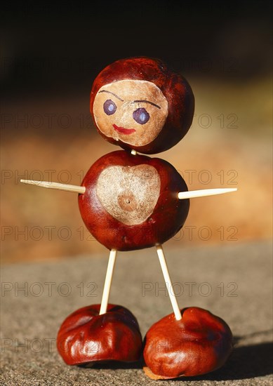 Cute chestnut figure in the evening light