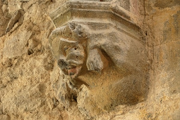Stone sculpture in the Castle of Saint Floret