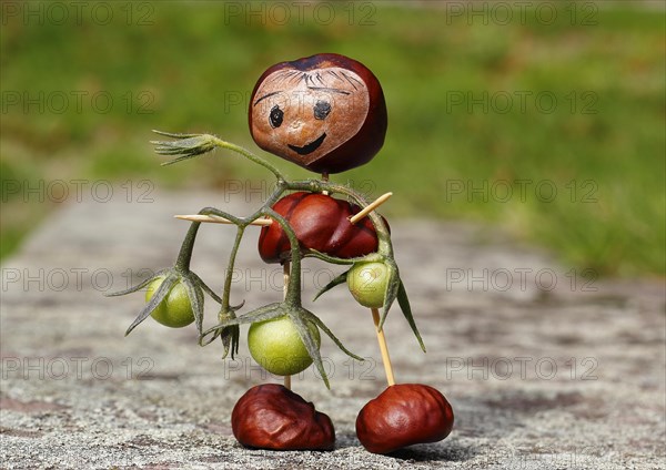 Cute chestnut figure with small tomatoes on wall