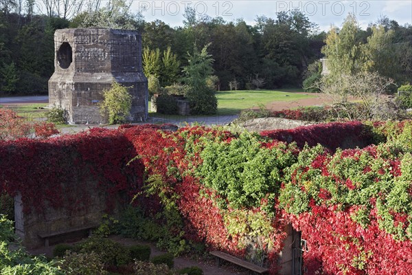 Bunker gardens overgrown with wild vines in autumn colours