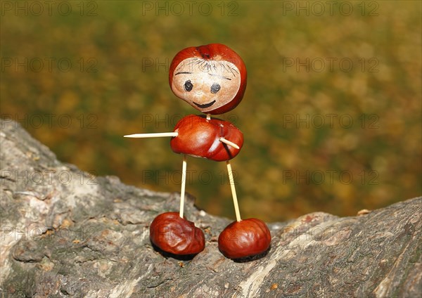 Cute chestnut figure on birch trunk