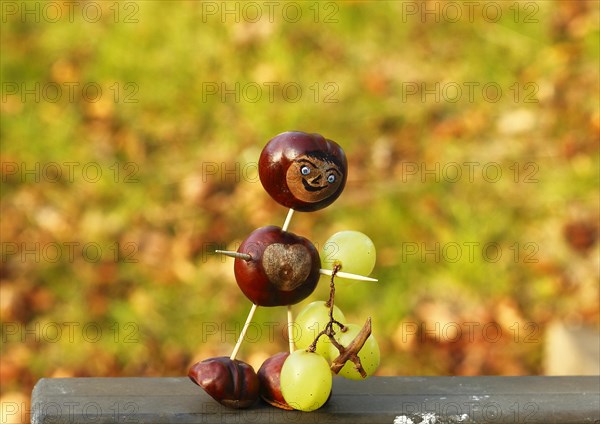 Chestnut figure with grapes in the evening light