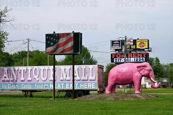 Pink Elephant Antique Mall