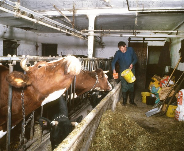 Small farmers in agriculture