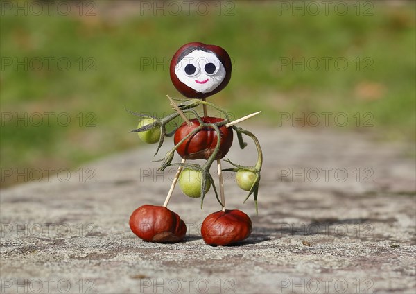 Cute chestnut figure with small tomatoes on wall