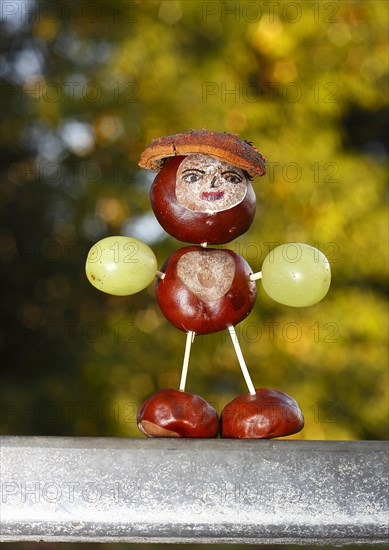 Chestnut figure with grapes in the evening light