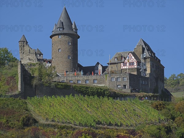 Stahleck Castle