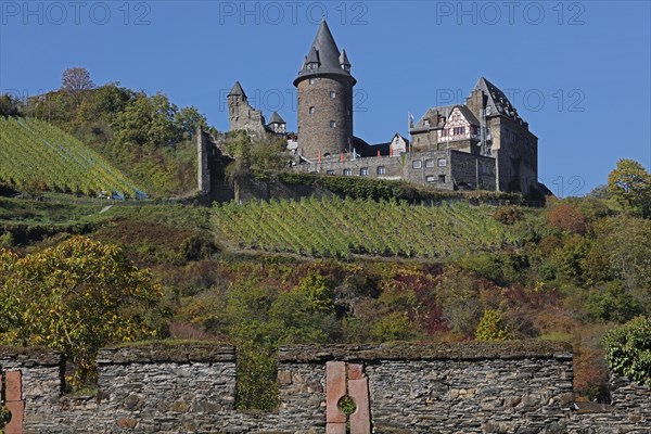 Stahleck Castle