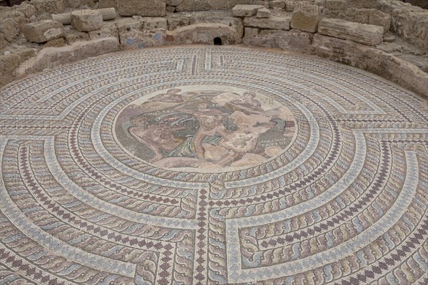 Floor mosaic