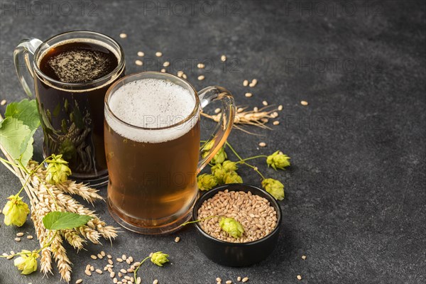 Beer mugs and wheat seeds high angle