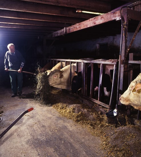 Small farmers in agriculture