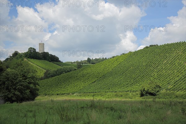 View of Scharfenstein Castle with vineyards