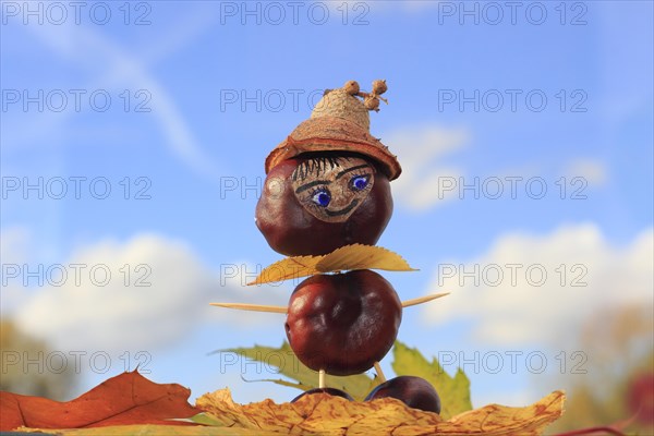 Smart chestnut figure with hat in the blue sky