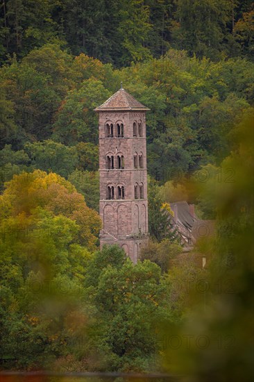 Eulenburg in autumn forest