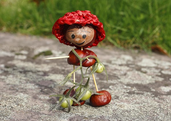 Cute chestnut figure with small tomatoes on wall