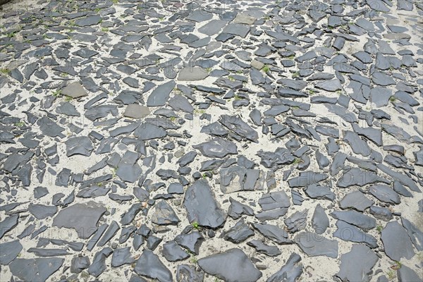 Pavement in Lviv