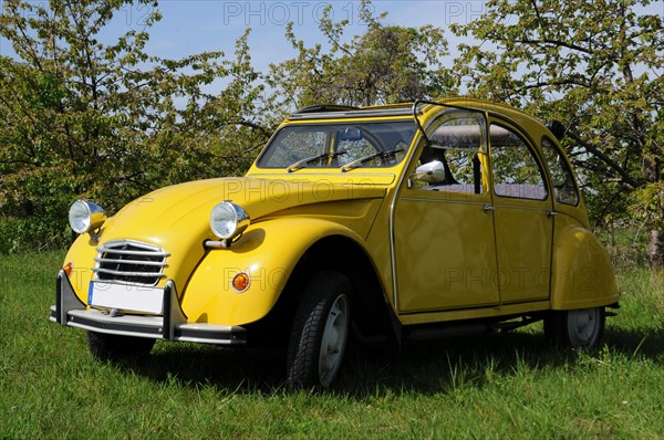 Vintage Citroen 2CV in spring