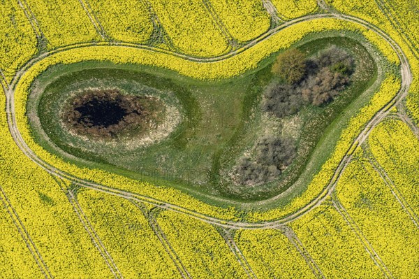Aerial view of a Soll in a rape field