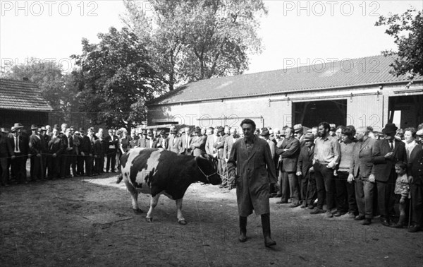 The auction of a bankrupt farm on 22. 09. 1971 in Greven in Muensterland