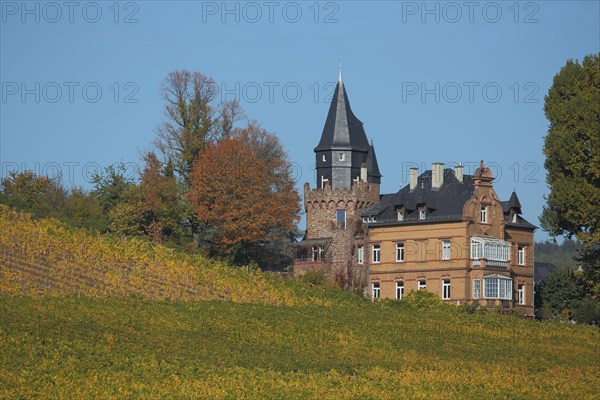 Villa me vine fields