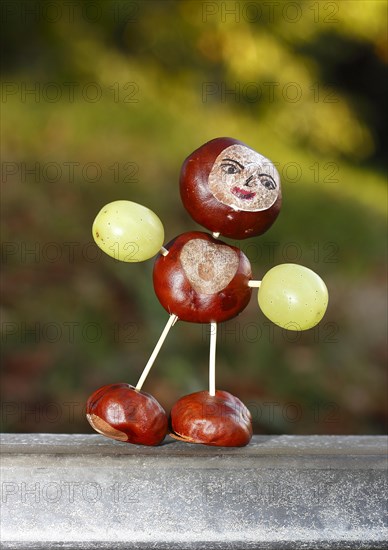 Chestnut figure with grapes in the evening light