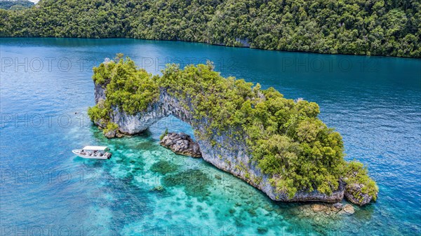 Bird's eye view of rock arch in Palau lagoon