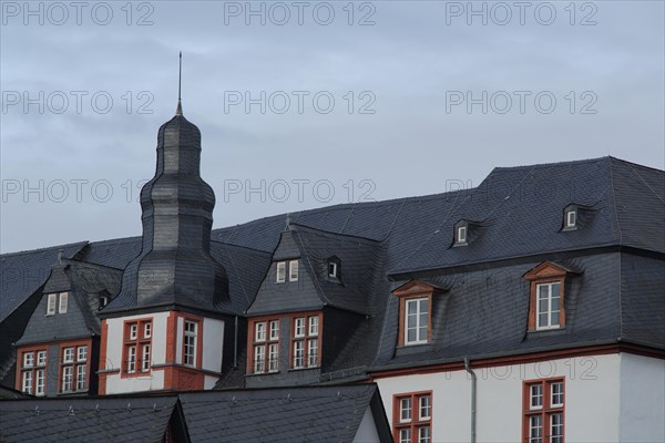 Slate roof with spire and dormers from Renaissance castle