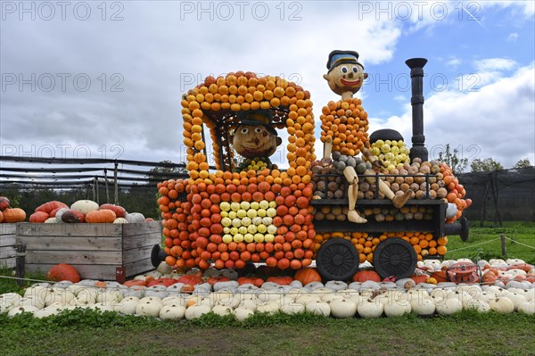 Figure Locomotive Pumpkins