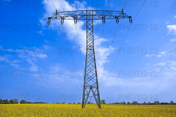 High-voltage pylons in a rape field