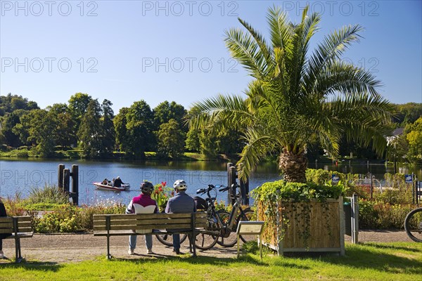 Cyclist on the Ruhr Valley Cycle Path with palm trees