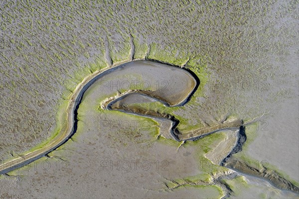 Aerial view of tidal creeks and sandbanks in the North Sea