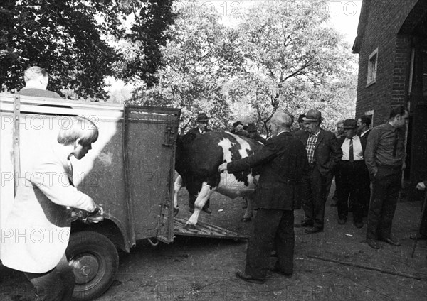 The auction of a bankrupt farm on 22. 09. 1971 in Greven in Muensterland