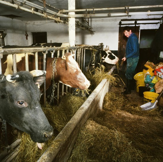 Small farmers in agriculture