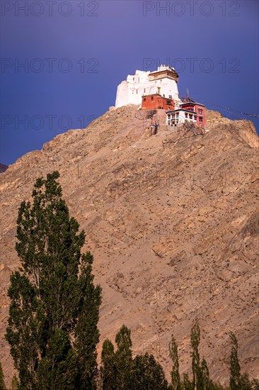 Namgyal Tsemo Gompa