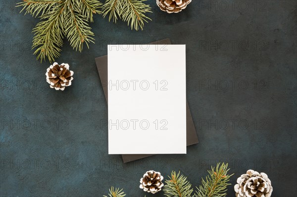 Blank paper surrounded by pine leaves cones