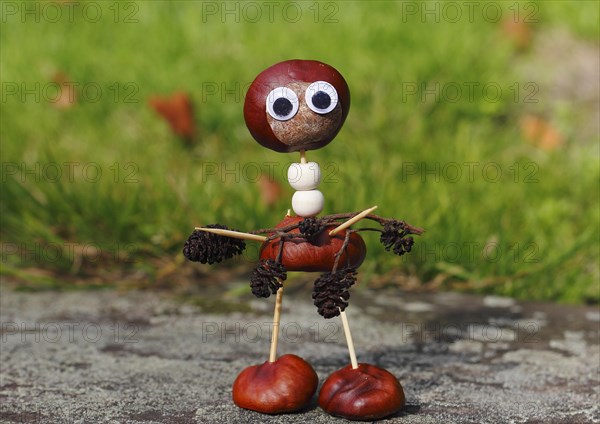 Chestnut figure carrying black alder cones