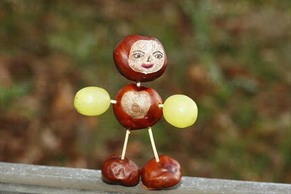 Chestnut figure with grapes in the evening light