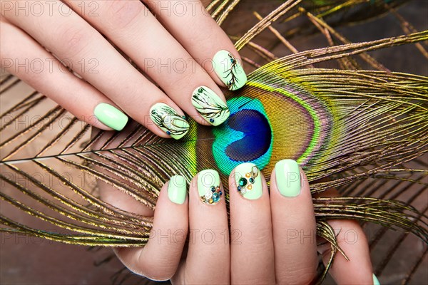 Art design manicure with peacock feather on female hands. Close-up. Fashion nails. Photos shot in studio