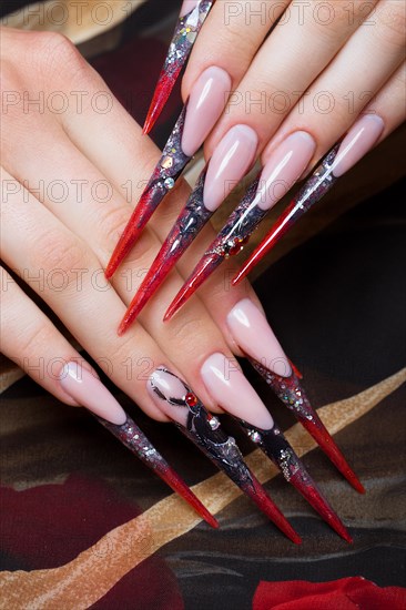 Long beautiful manicure on the fingers in black and red colors with a spider. Nails design. Picture taken in the studio on a white background